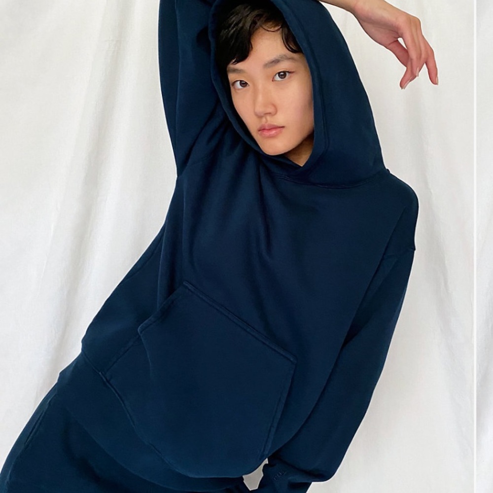Aritizia Tna cozy fleece Perfect hoodie